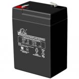 Leoch DJW6-4.5 Leoch DJW6-4.5