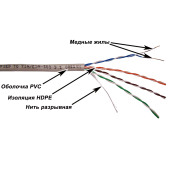 TWT-5EUTP-XS/100 - TWT-5EUTP-XS/100